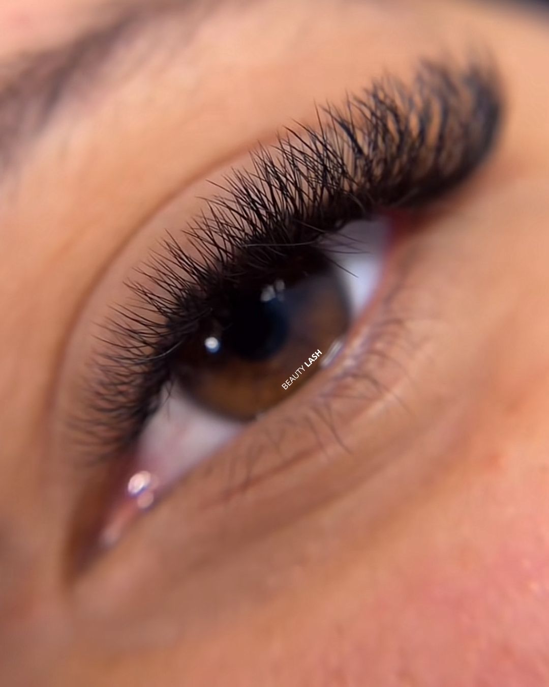 Boîte XXL Bouquets Préfaits